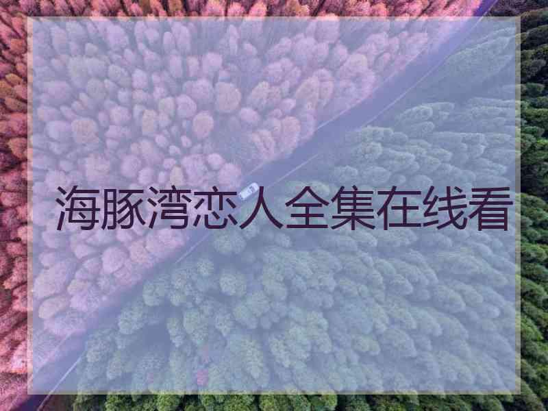海豚湾恋人全集在线看