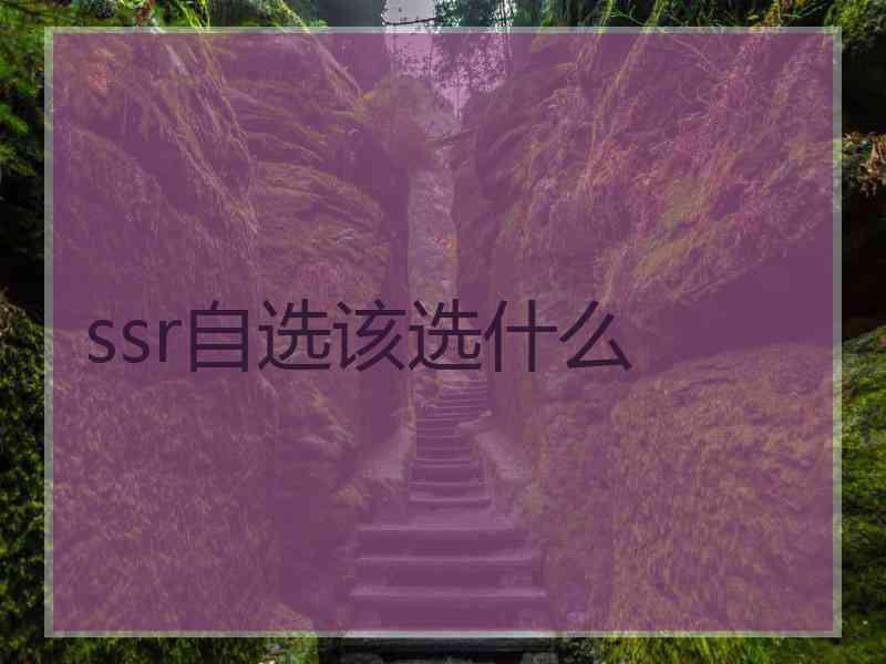 ssr自选该选什么