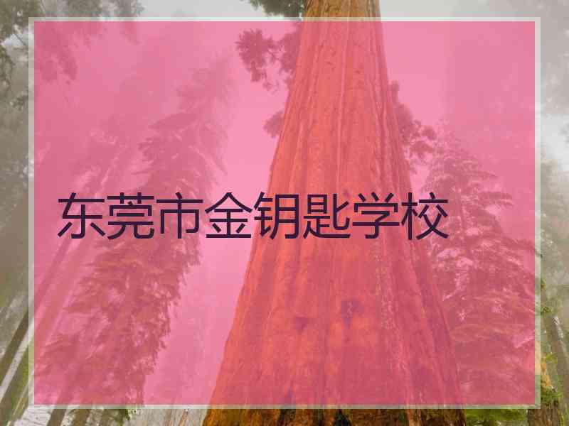 东莞市金钥匙学校