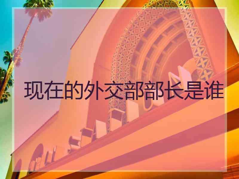 现在的外交部部长是谁