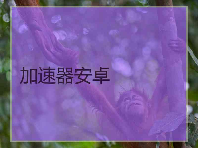 加速器安卓