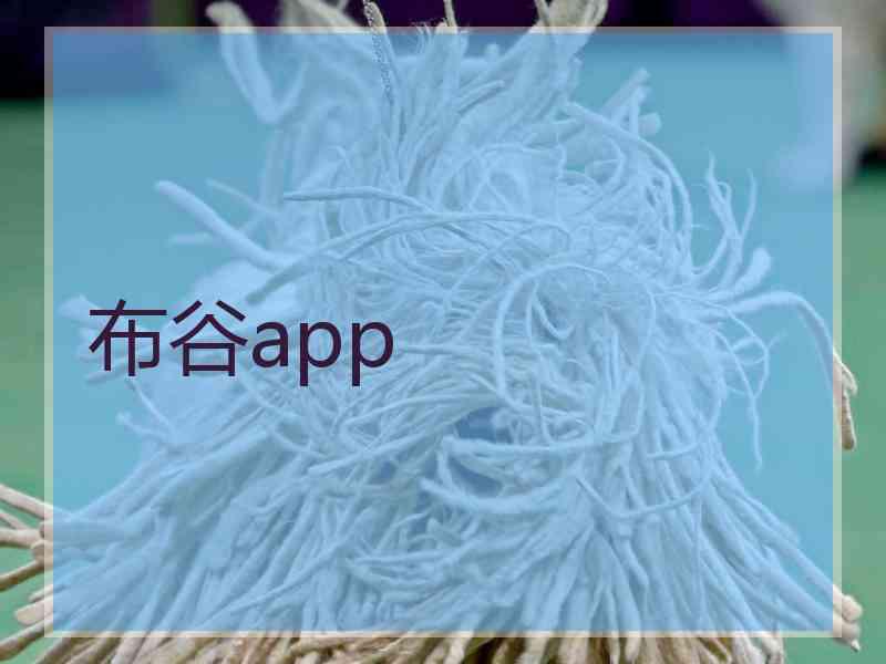 布谷app