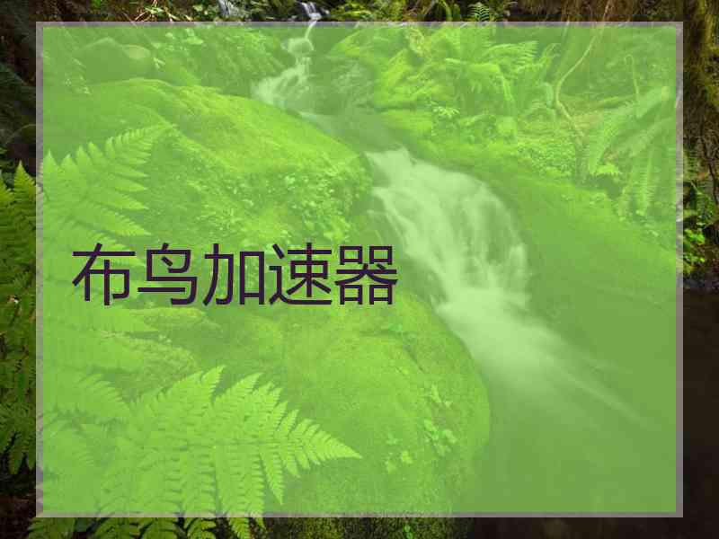 布鸟加速器