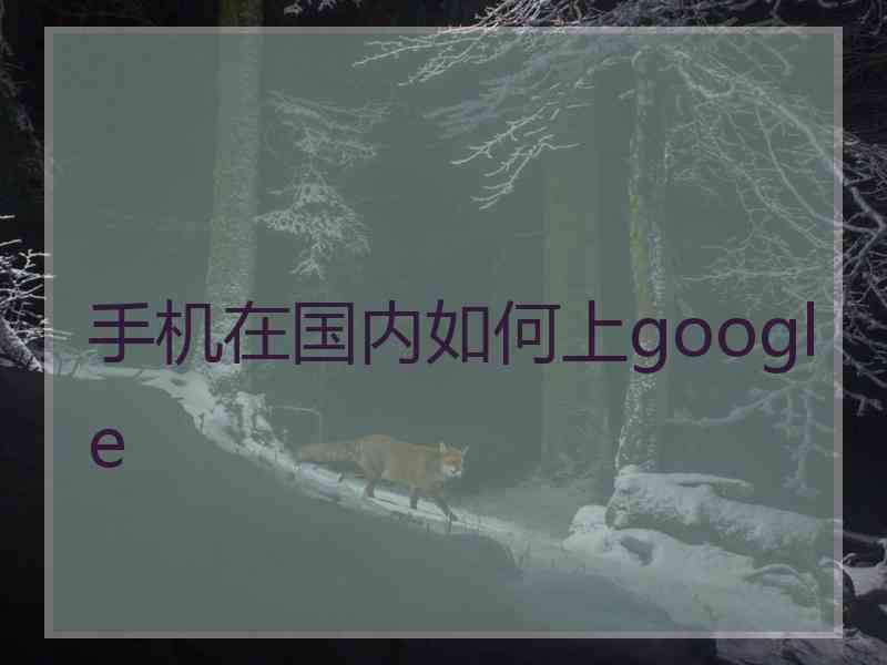 手机在国内如何上google