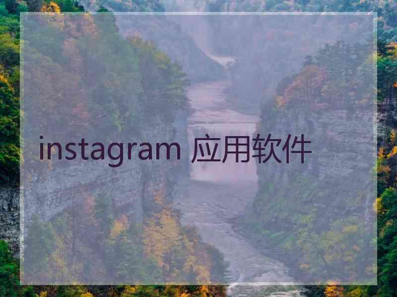 instagram 应用软件