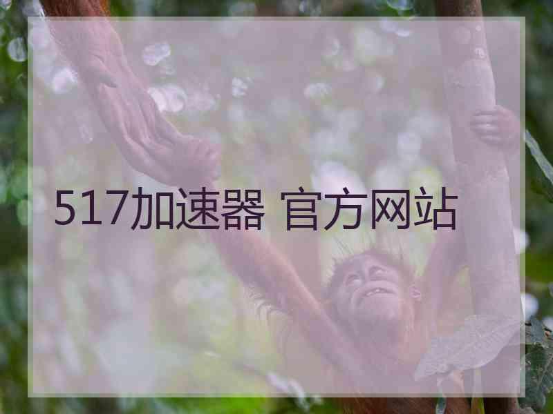 517加速器 官方网站
