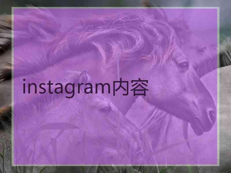 instagram内容
