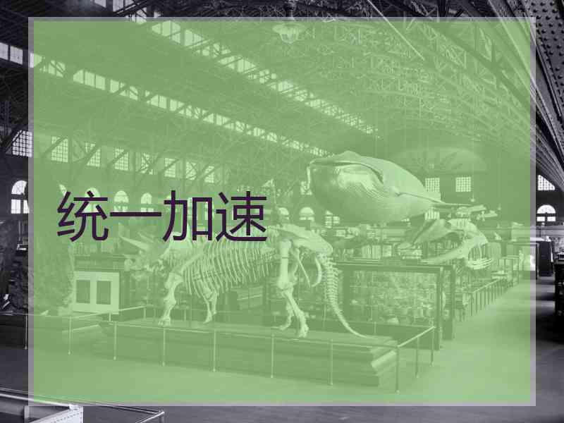 统一加速