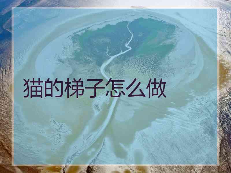 猫的梯子怎么做