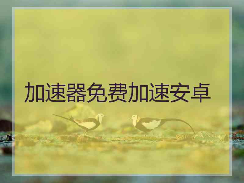 加速器免费加速安卓