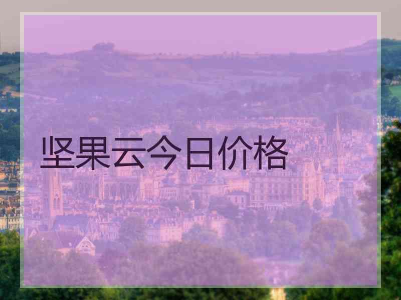 坚果云今日价格