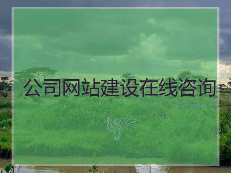 公司网站建设在线咨询