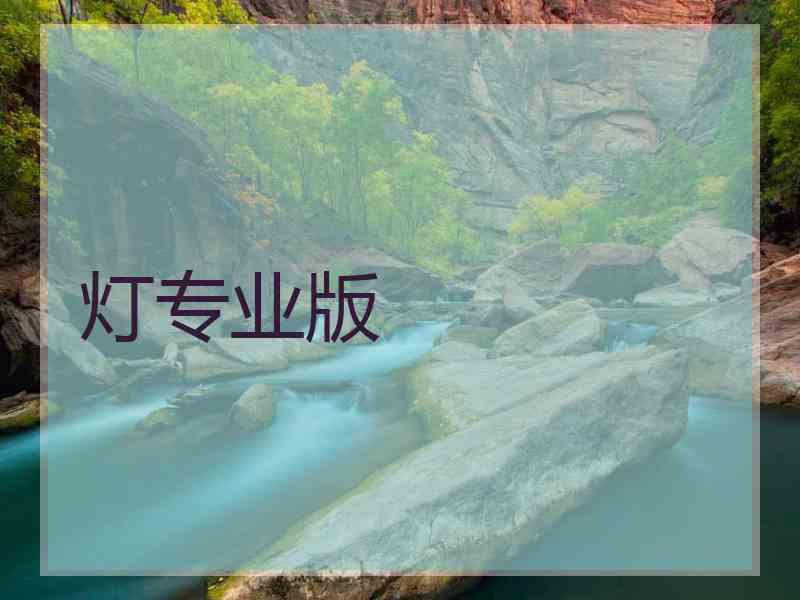 灯专业版