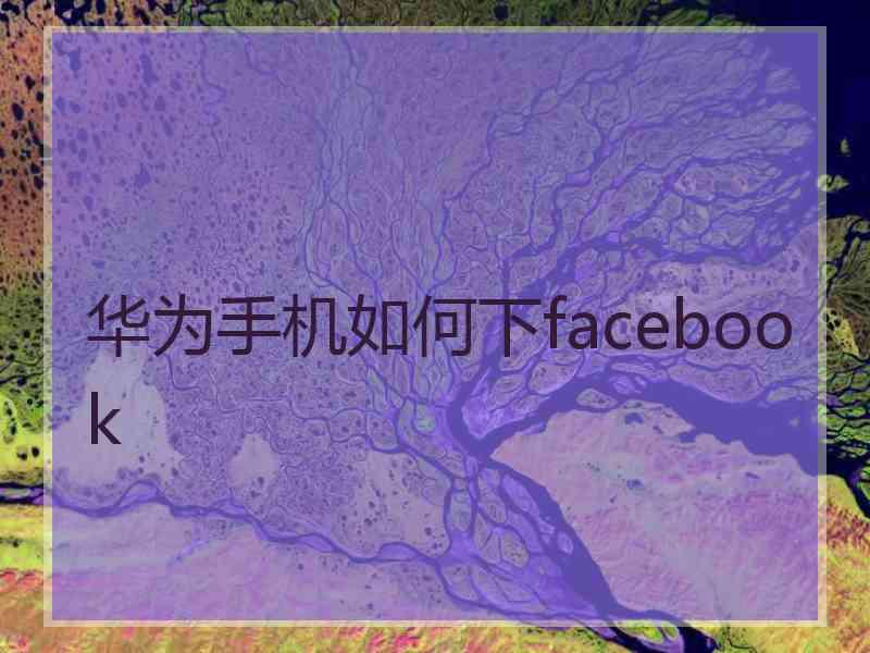 华为手机如何下facebook