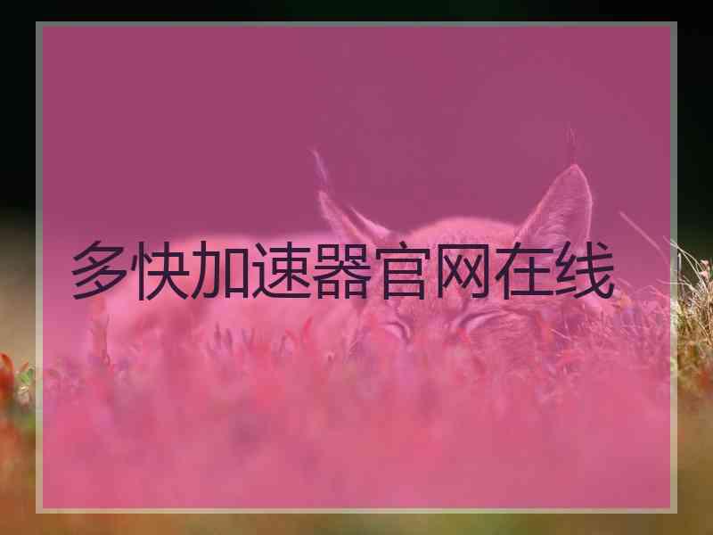 多快加速器官网在线