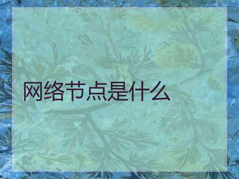 网络节点是什么