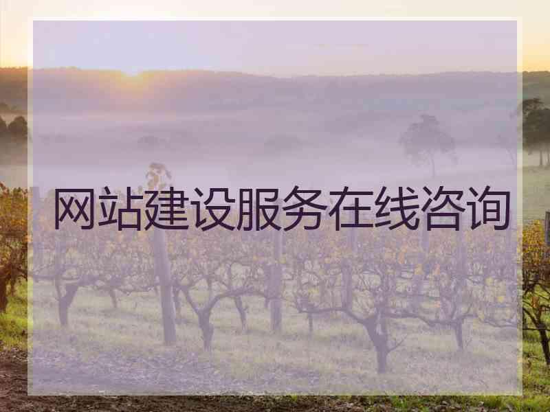 网站建设服务在线咨询
