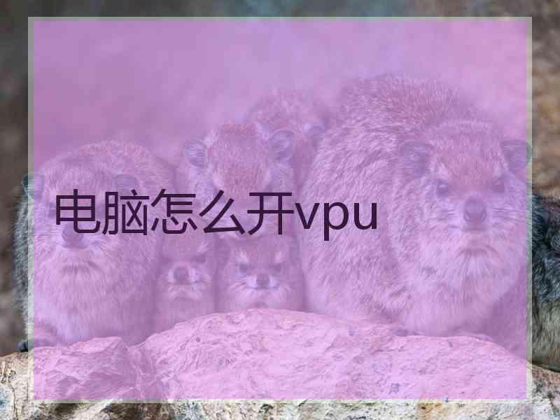 电脑怎么开vpu