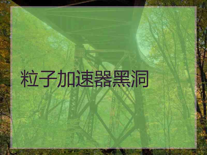 粒子加速器黑洞