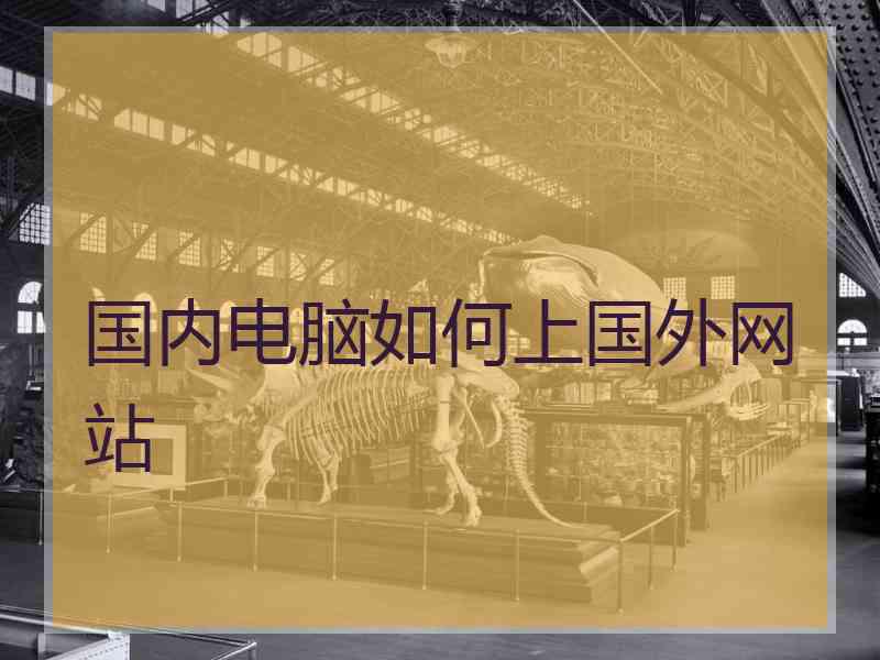 国内电脑如何上国外网站