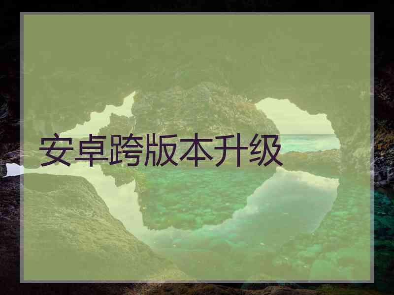 安卓跨版本升级