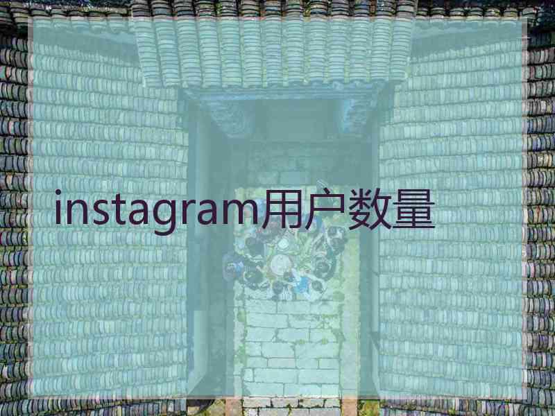 instagram用户数量
