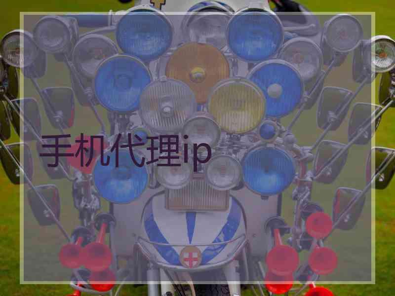 手机代理ip