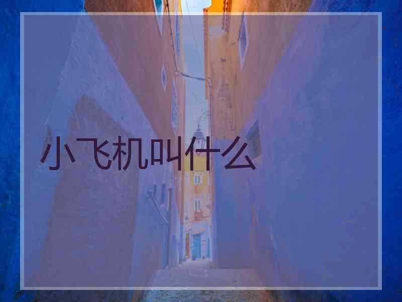 小飞机叫什么