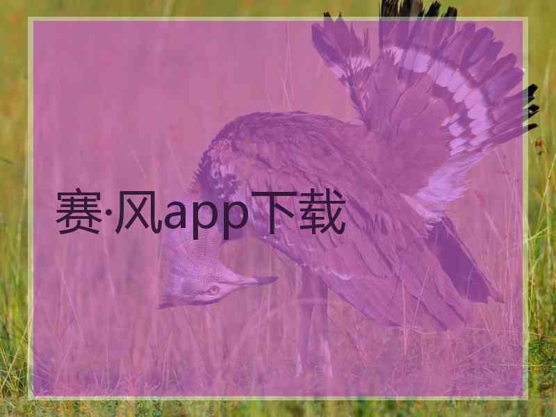 赛·风app下载