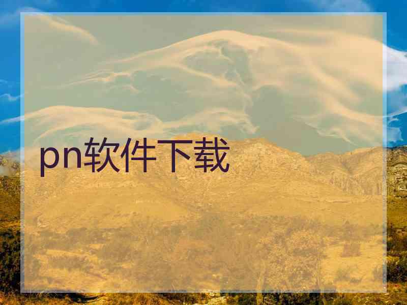 pn软件下载