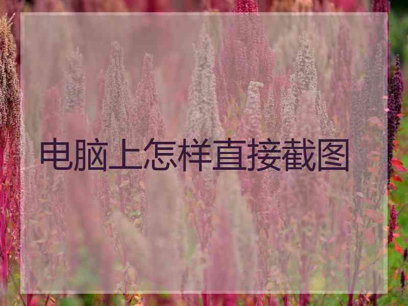 电脑上怎样直接截图