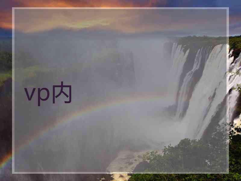 vp内