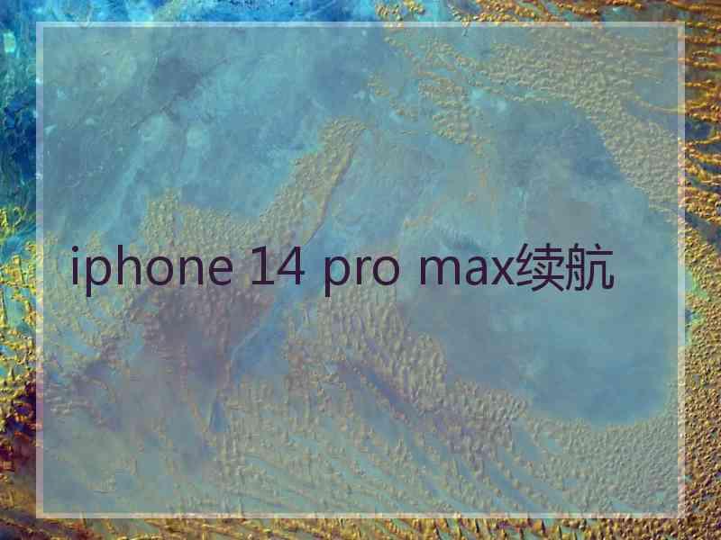 iphone 14 pro max续航