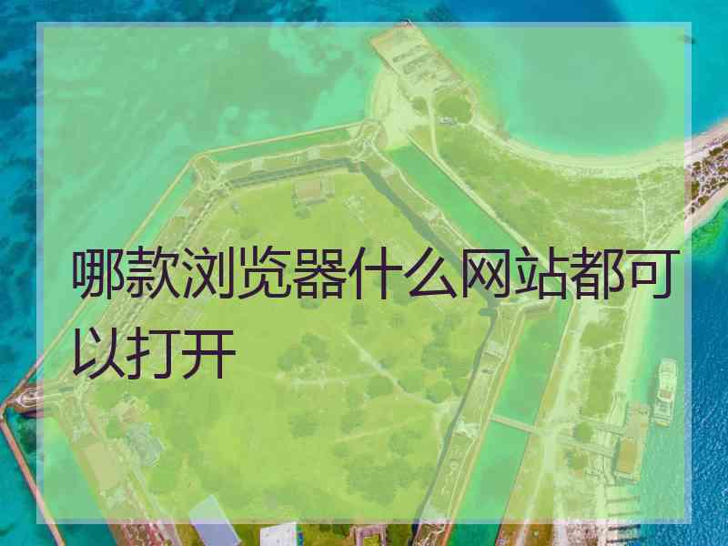 哪款浏览器什么网站都可以打开