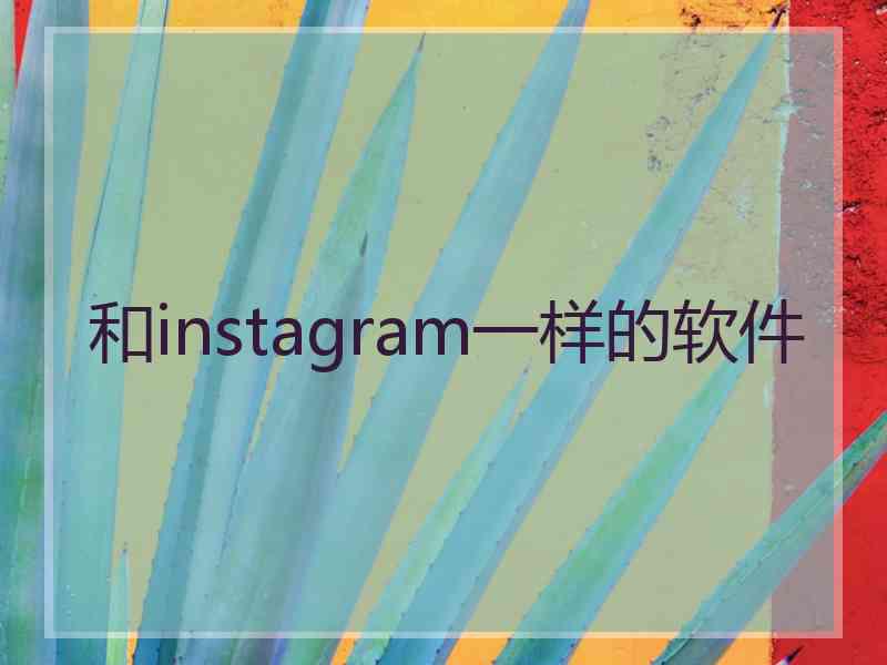 和instagram一样的软件