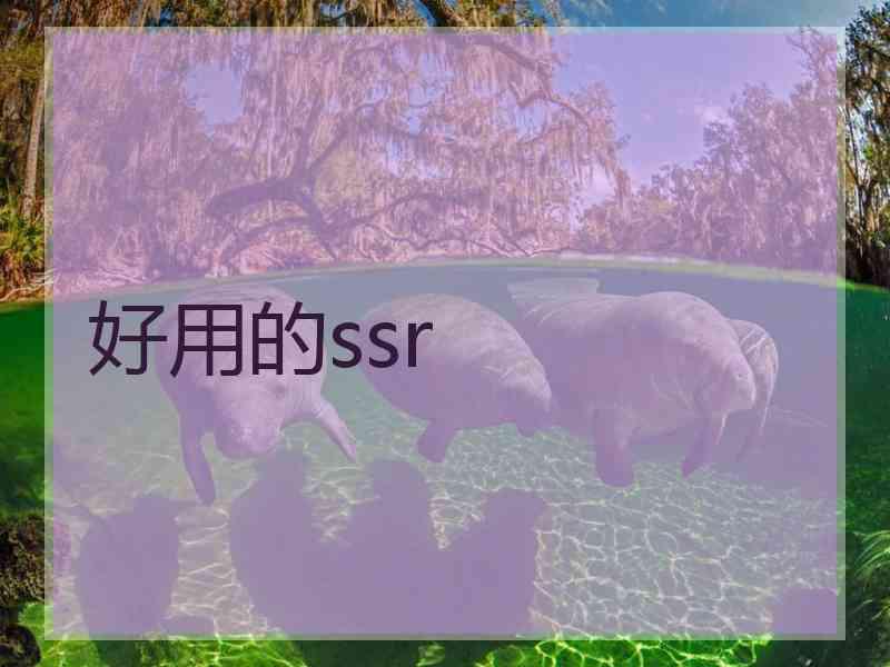 好用的ssr