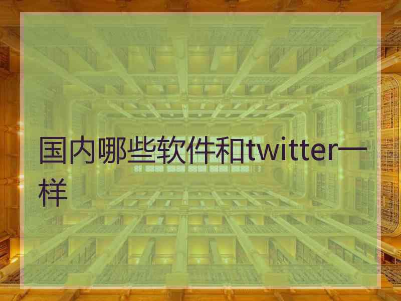 国内哪些软件和twitter一样