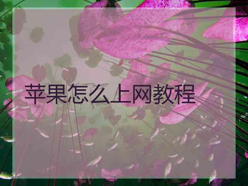 苹果怎么上网教程