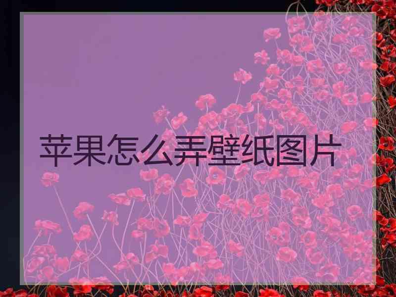苹果怎么弄壁纸图片