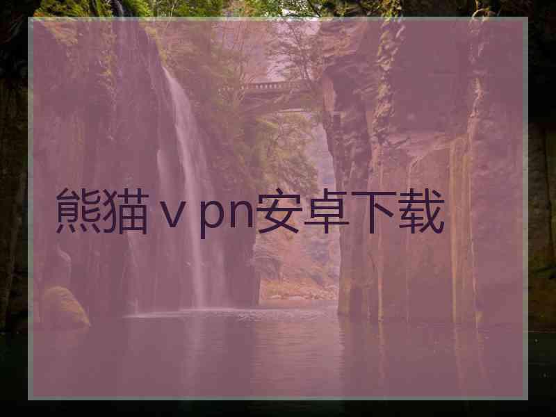 熊猫ⅴpn安卓下载