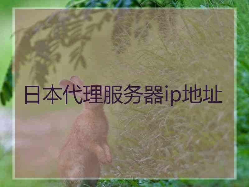 日本代理服务器ip地址