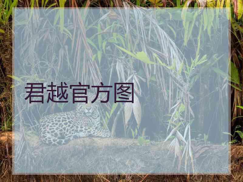 君越官方图