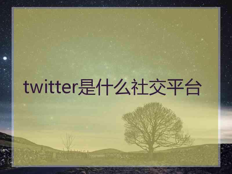 twitter是什么社交平台