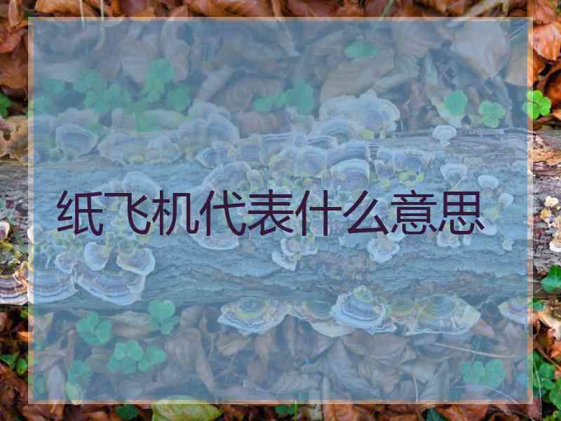 纸飞机代表什么意思