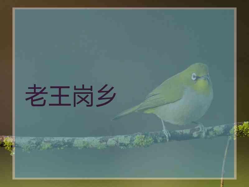 老王岗乡