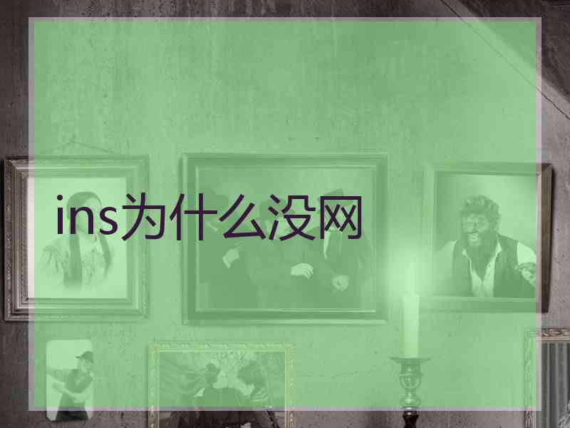 ins为什么没网