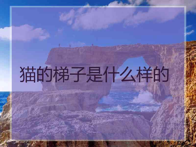 猫的梯子是什么样的