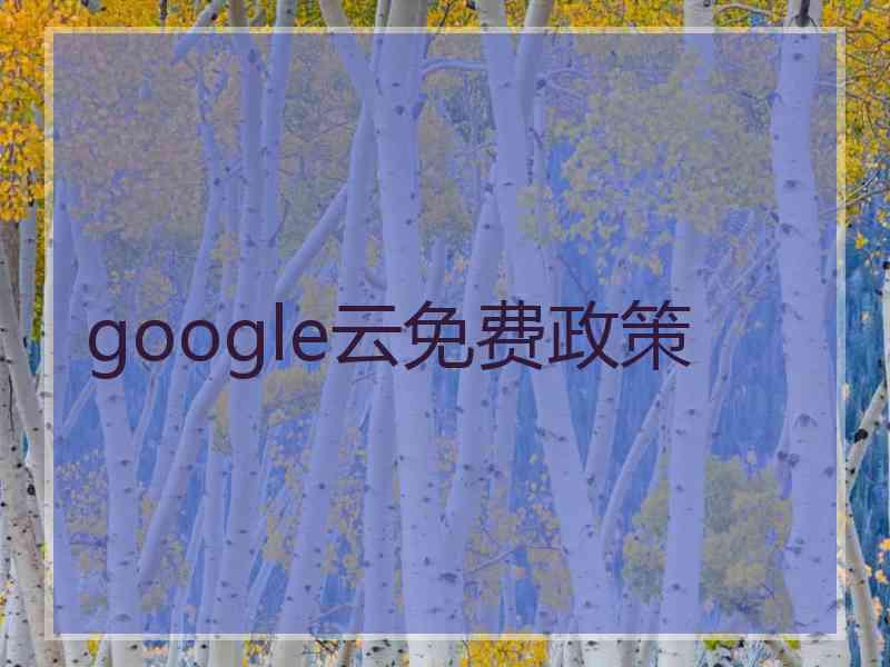 google云免费政策