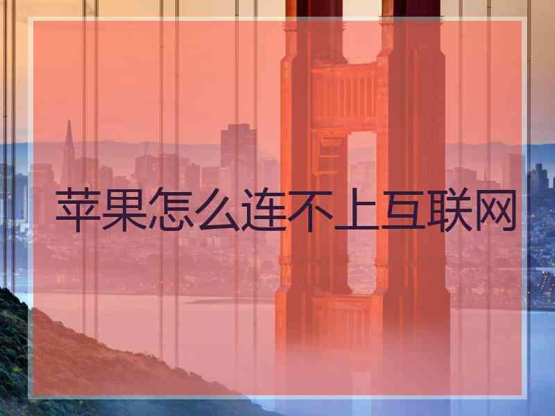 苹果怎么连不上互联网