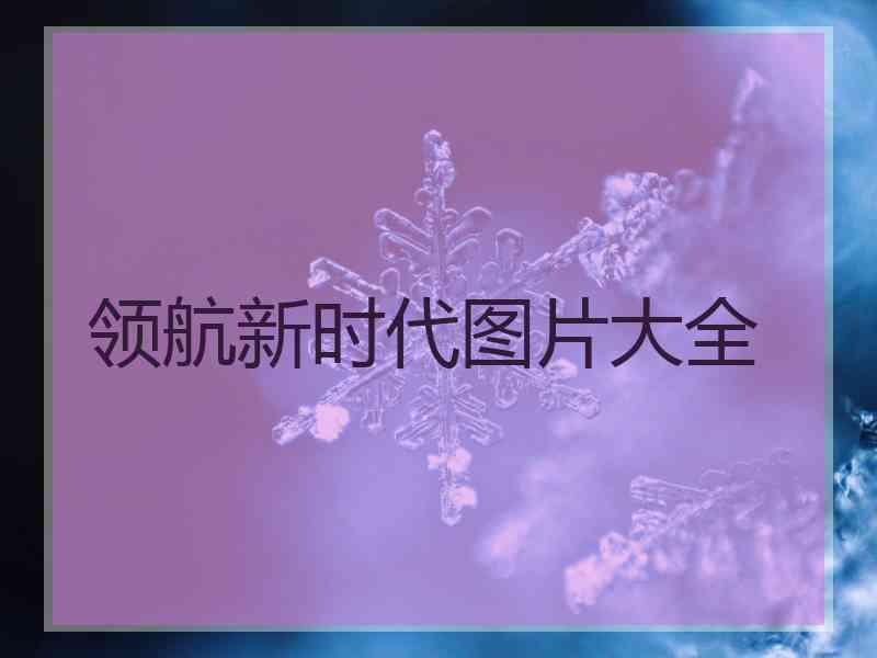 领航新时代图片大全